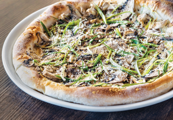 ���C���h�}�b�V�����[�� �@WILD MUSHROOM�@$14.99